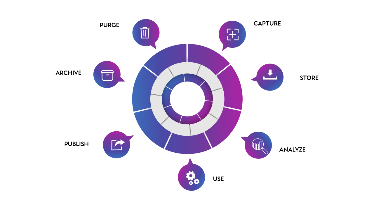 web_design_development
